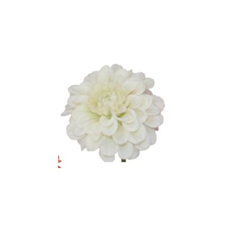 特価◎【造花】パレ/ジニアピック/P-9847-10