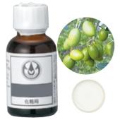生活の木/オリーブスクワラン 25mL/12-401-1300 - 花材通販はなどんや