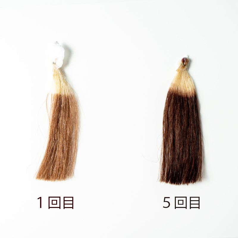 生活の木 ヘアカラートリートメント ダークブラウン 0g 生活の木 ヘアカラートリートメント ダークブラウン 0g
