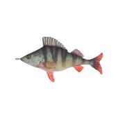 ダルトン/FISHES PIKE 195/Y-0506 - 花材通販はなどんやアソシエ