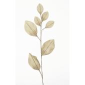 葉っぱ型　花器　リーフ型 71Av+7UiJqL._AC_SY200_QL15_.jpg