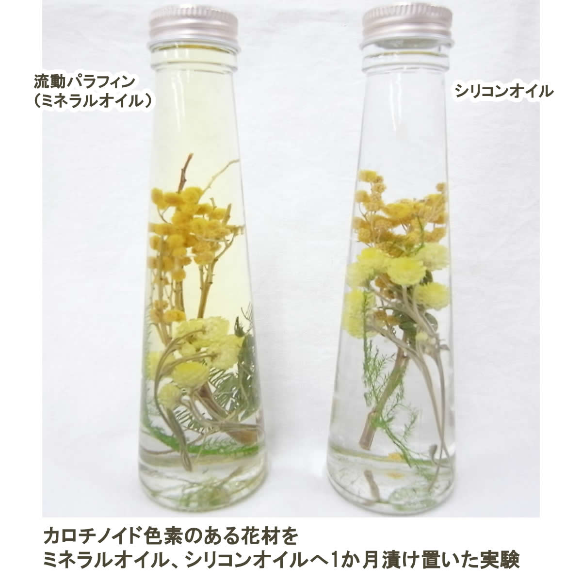 即日 パレス化学 ハーバリウムオイル シリコン ハーバルデコラオイル 5l 通販 はなどんやアソシエ 即日 パレス化学 ハーバリウムオイル シリコン ハーバルデコラオイル 5l 通販 はなどんやアソシエ