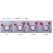 パレス化学/水揚促進剤 華の精Run-潤- 4L