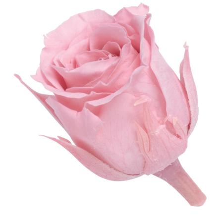 【プリザーブド】大地農園/ビビアン・ミニセレクション 9リン クリスタルピンク/2371-111