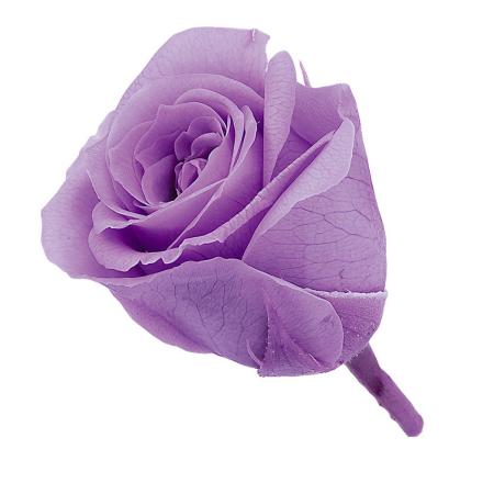 【プリザーブド】大地農園/ビビアン・ミニセレクション 9リン スウィートライラック/2371-451