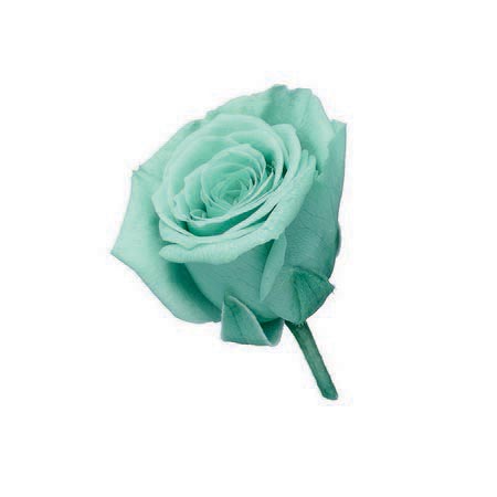 【プリザーブド】大地農園/ビビアン・ミニセレクション 9リン ミントブルー/2371-622