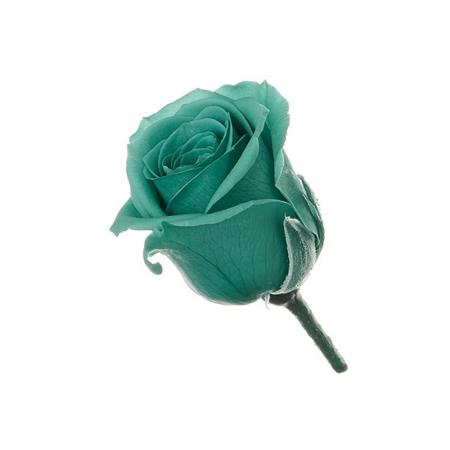 特価◎【プリザーブド】大地農園/ビビアン シーグリーン 24輪/02370-752