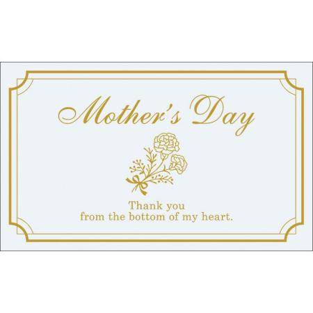 特価◎チキュウグリーティングス/ギフトカード 20枚/MG-846