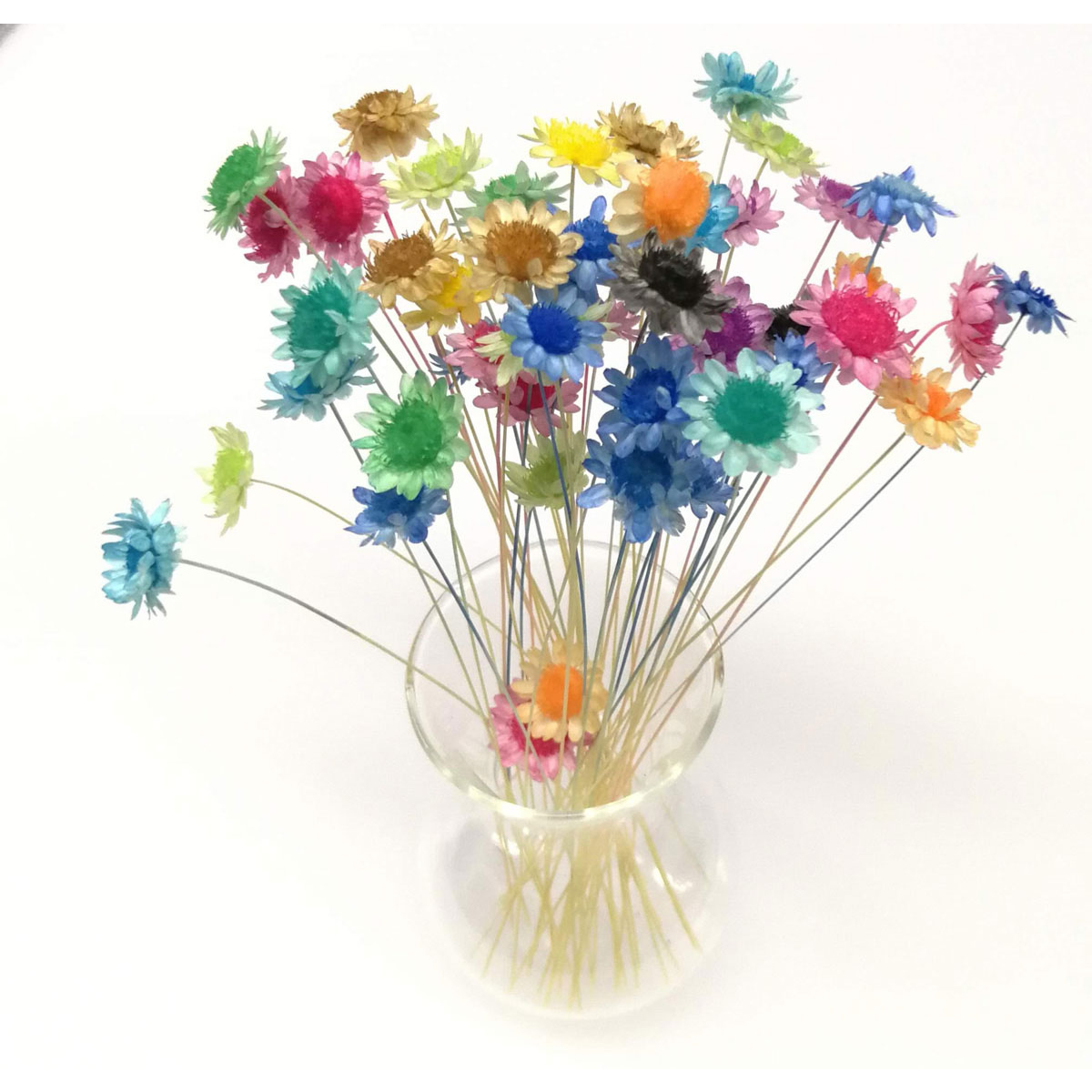 即日 そらプリ クリアリウム Senca 染花 スプレー 12色セット Ep042 通販 はなどんやアソシエ 即日 そらプリ クリアリウム Senca 染花 スプレー 12色セット Ep042 通販 はなどんやアソシエ