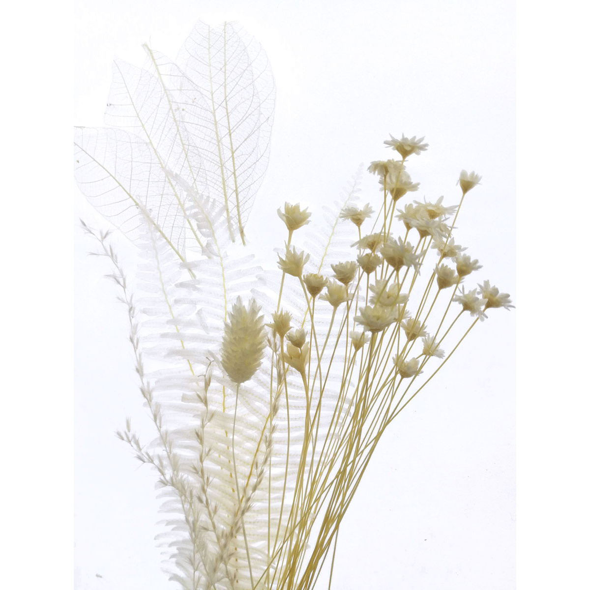 そらプリ アルコールインク染色キット Spkit0124 通販 はなどんやアソシエ そらプリ アルコールインク染色キット Spkit0124 通販 はなどんやアソシエ