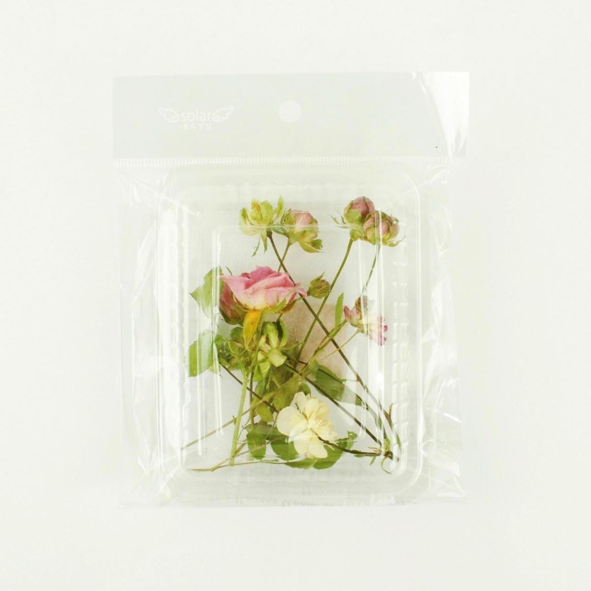 即日 ドライ そらプリ 野の花ドライ ローズ 約6本 Spdc0001 即日 ドライ そらプリ 野の花ドライ ローズ 約6本 Spdc0001