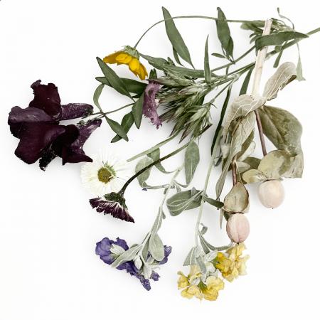 ドライ そらプリ 野の花ドライ 季節の花材 約6本 Spdc0002 通販 はなどんやアソシエ