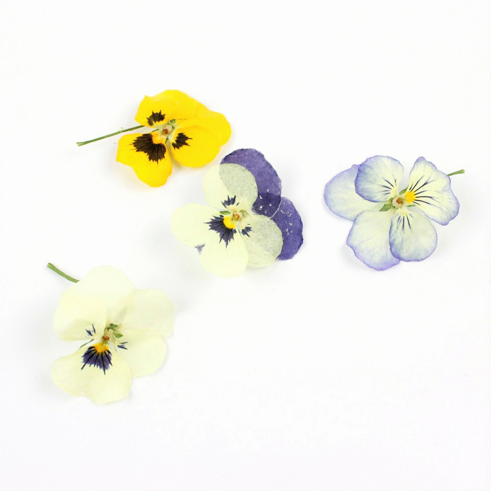 ドライ そらプリ 野の花ドライ ビオラ 8輪 Spdc0015 通販 はなどんやアソシエ