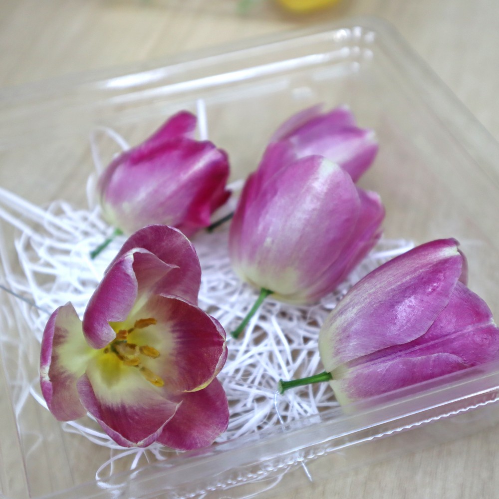 即日 ドライ ドライフラワー エモフラ チューリップ ヘッド 一重 5輪 ピンク Spdc0028 通販 はなどんやアソシエ 即日 ドライ ドライフラワー エモフラ チューリップ ヘッド 一重 5輪 ピンク Spdc0028 通販 はなどんやアソシエ