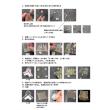 and3/LUNARIUM(ルナリウム) 作成キット　ミックス/and3-luna001