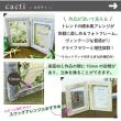 特価◎cazaro/カクティ LWタテ バーンイエロー/36R09602602