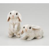 エイチツーオー/カントリーラビットLL/HT6017 - 花材通販はなどんや