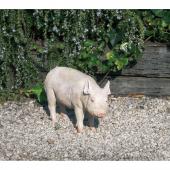 エイチツーオー/カンガルー親子/HT6333 - 花材通販はなどんやアソシエ