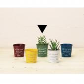 エイチツーオー/ブリキポットSS レッド/HT7403 - 花材通販はなどんや