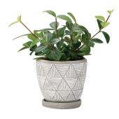 エイチツーオー/サテンポット ホワイト/HH30888