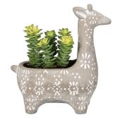 エイチツーオー/キリンプランターS/HH31748 - 花材通販はなどんやアソシエ