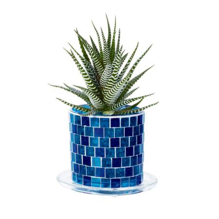 エイチツーオー/ガラスプランター　ブルーモザイク/HH29415
