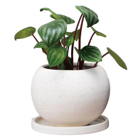 エイチツーオー/セントポットボールL　ホワイト/HH29277