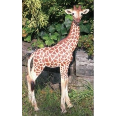 エイチツーオー/キリン/HH30049