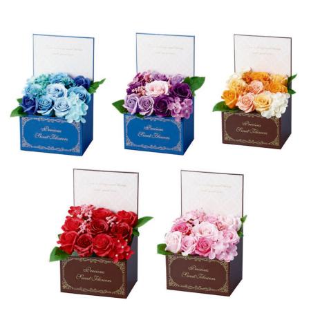 エイチツーオー/スィートソープアレンジカームボックスL　5色アソート/HH29361