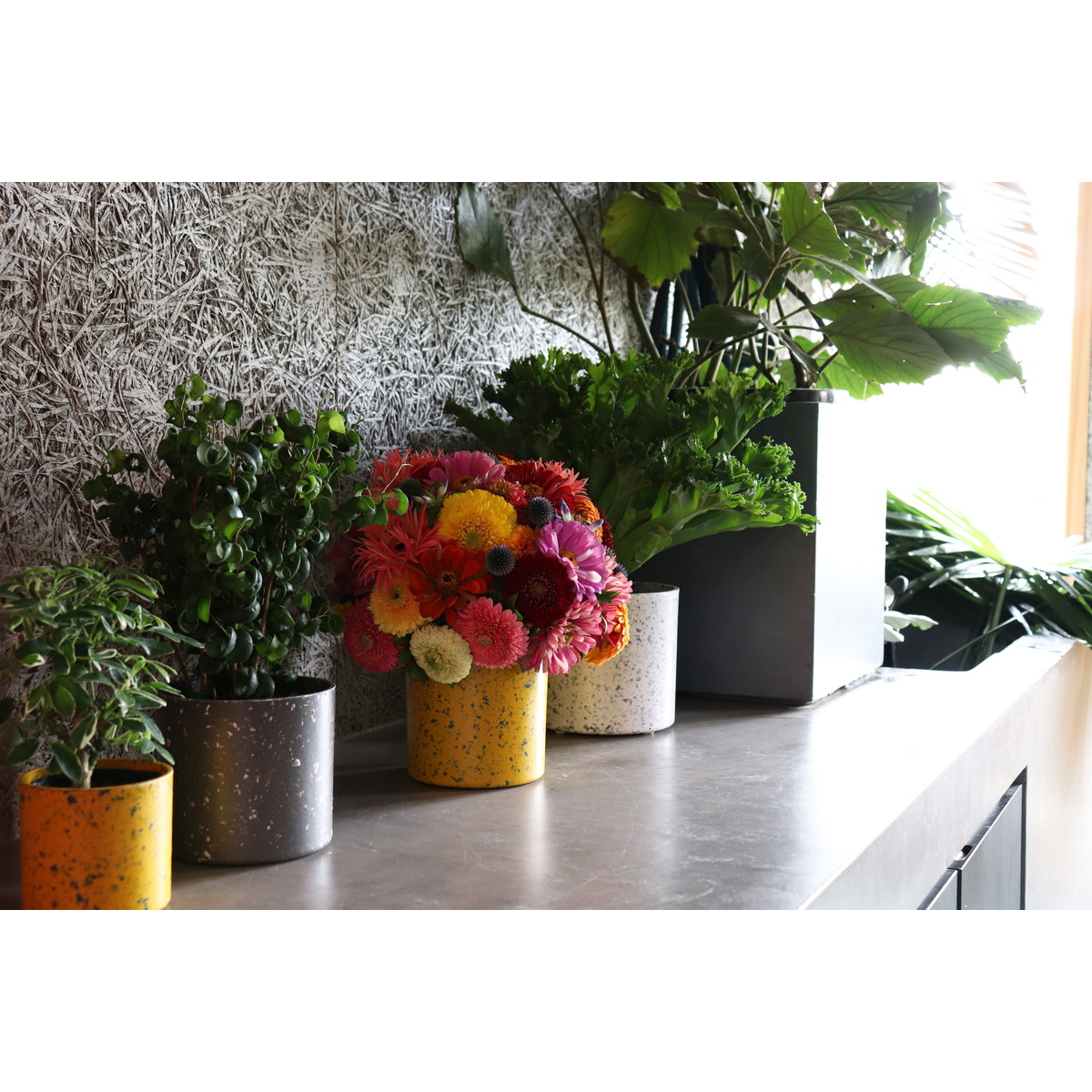 Dolabo エコチップマーブル フラワーポットm グレー 通販 はなどんやアソシエ Dolabo エコチップマーブル フラワーポットm グレー 通販 はなどんやアソシエ