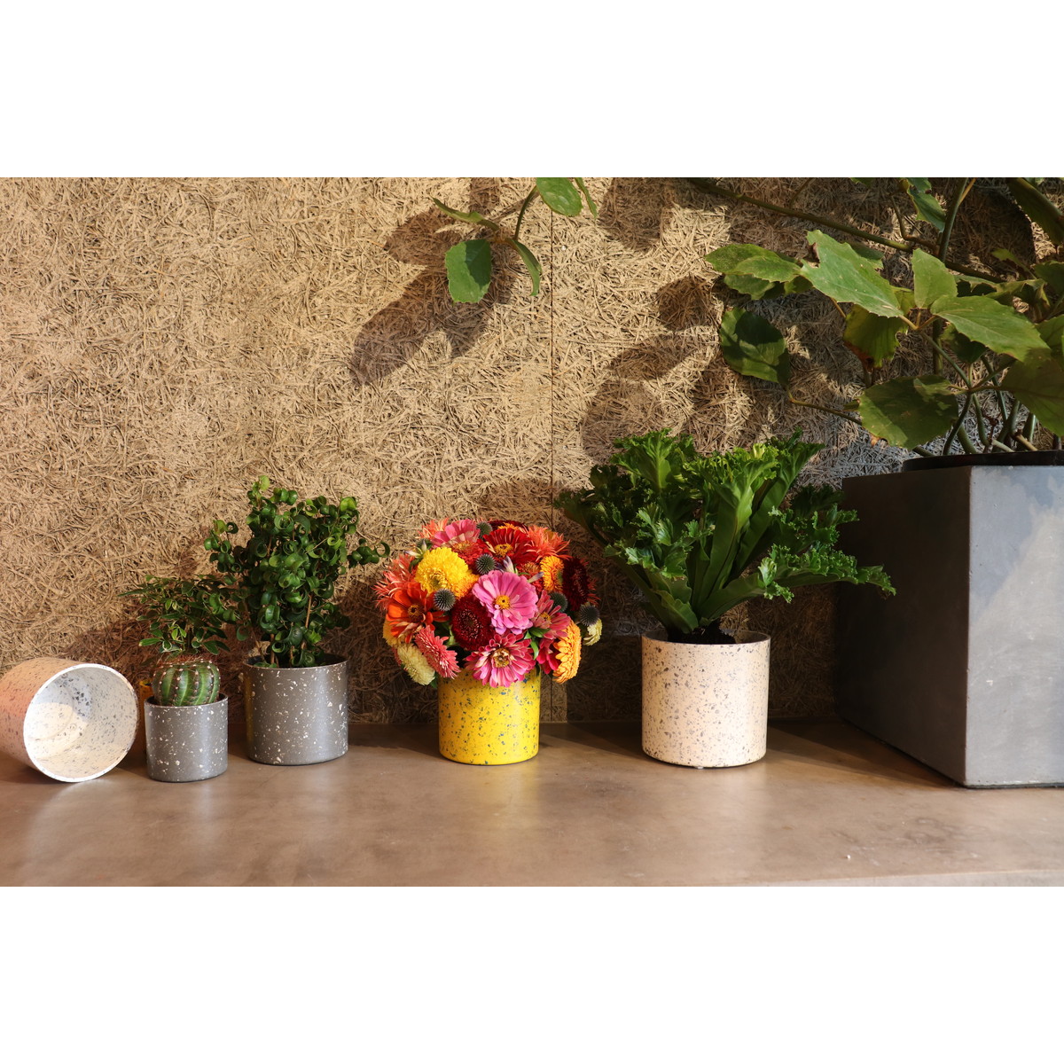 Dolabo エコチップマーブル フラワーポットm グレー 通販 はなどんやアソシエ Dolabo エコチップマーブル フラワーポットm グレー 通販 はなどんやアソシエ