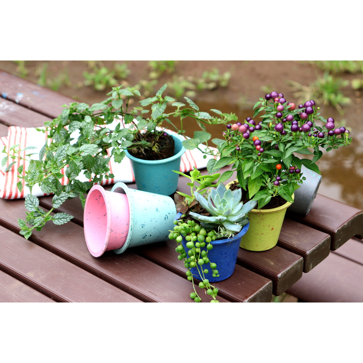 Dolabo ミニエコチップマーブルポット ミントグリーン 42172 通販 はなどんやアソシエ