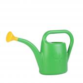 ６日入荷⭐️ゴールデンマンボ⭐️　トロピカルベリーセット一鉢 オーダー受付中】ミニトロピカルジュース🍹 - mai star☆DECO