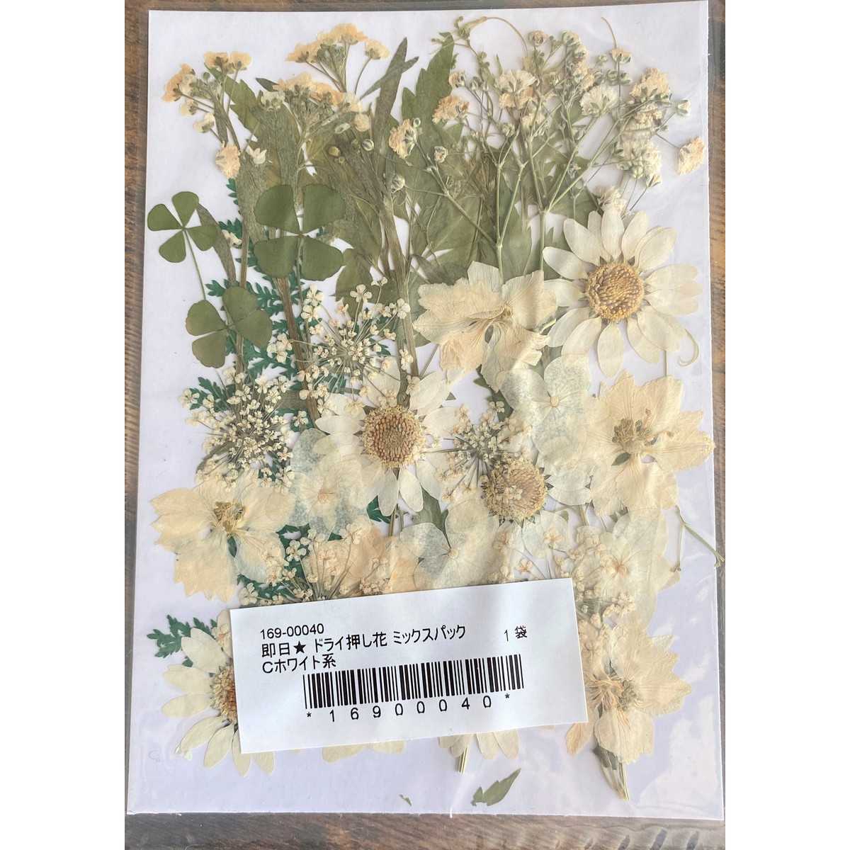 即日 ドライ 押し花 ミックスパックc ホワイト系 通販 はなどんやアソシエ 即日 ドライ 押し花 ミックスパックc ホワイト系 通販 はなどんやアソシエ