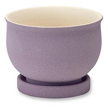 POSH LIVING/ソマリポット すみれ/30839