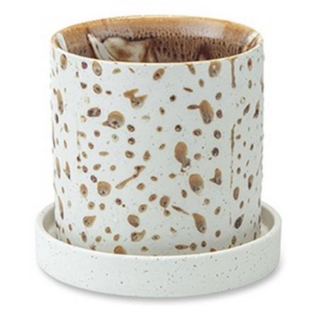 特価◎POSH LIVING/ダルミーポット ブラウン/30823