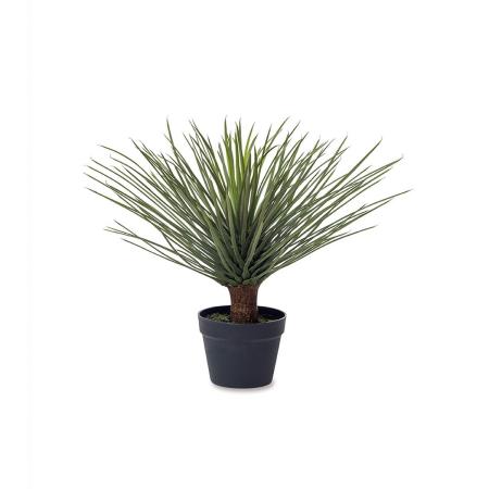 POSH LIVING/ユッカ/81125