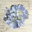 アウトレット◎即日★【造花】ビバ工芸/VD-6774 ハイドレンジャ BL/VD-6774