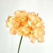 【造花】ビバ工芸/ハイドレンジャショートステム/VE-6827-LT/YE
