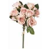 薔薇　3号 miniaturerose20210603-2.jpg