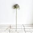 特価◎【造花】ビバ工芸/VE-4247 アリウム BL/VE-4247