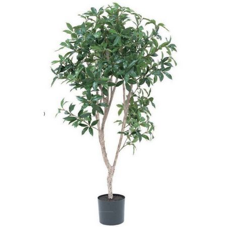 【直送】【人工観葉植物】ビバ工芸/ローレルツリー/VGZ-0050 ※返品・代引・キャンセル不可・個人宅配送不可