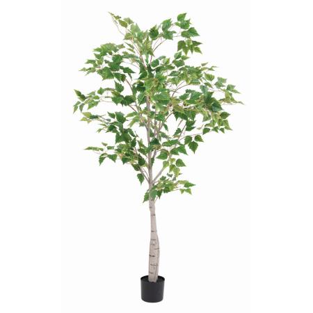 【直送】【人工観葉植物】ビバ工芸/バーチツリー/VGZ-0053 ※返品・代引・キャンセル不可・個人宅配送不可