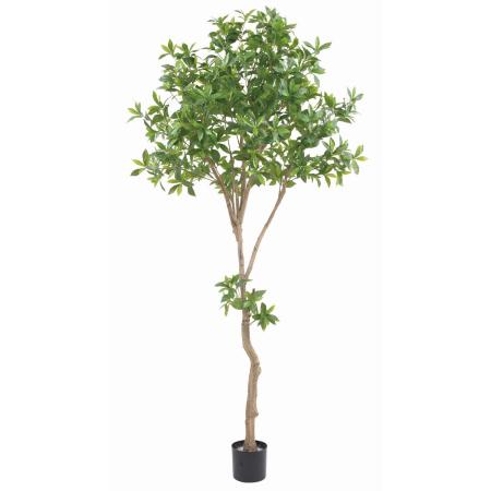 【直送】【人工観葉植物】ビバ工芸/アセビ/VGZ-0066 ※返品・代引・キャンセル不可・個人宅配送不可