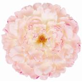 造花】ビバ工芸/ジャンボピオニー CR/PI/VE-4258 - 花材通販はなどんや
