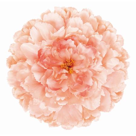 特価◎【造花】ビバ工芸/ジャンボピオニー LT/MA/VE-4258