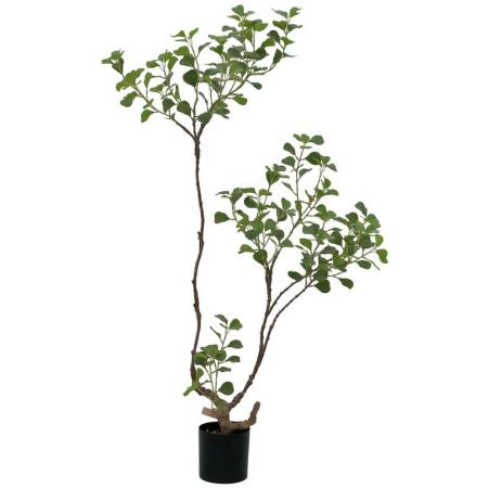 【直送】【人工観葉植物】ビバ工芸/トリアングラリスツリー120cm/VGZ-0073 ※返品・代引・キャンセル・個人宅配送不可