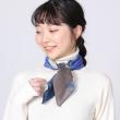 志成販売/季節の移ろいを山々で感じるスカーフ ショートサイズ/304995BL