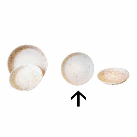 特価◎花LINKS/ファイバーセメント 受け皿/YP35WH