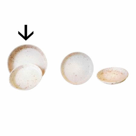 特価◎花LINKS/ファイバーセメント 受け皿/YP40WH